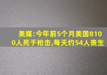 美媒:今年前5个月美国8100人死于枪击,每天约54人丧生