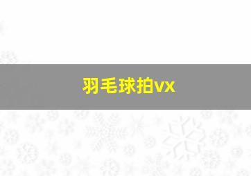 羽毛球拍vx