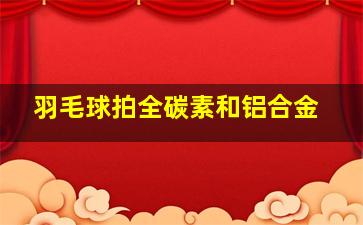 羽毛球拍全碳素和铝合金