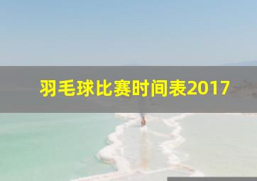 羽毛球比赛时间表2017