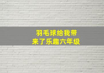 羽毛球给我带来了乐趣六年级