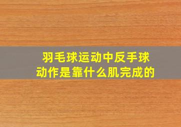 羽毛球运动中反手球动作是靠什么肌完成的