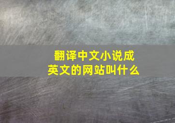 翻译中文小说成英文的网站叫什么