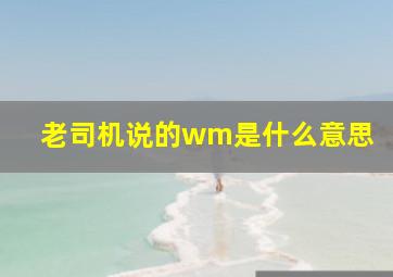 老司机说的wm是什么意思