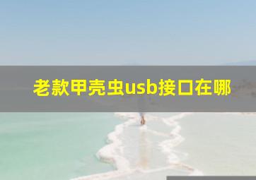 老款甲壳虫usb接口在哪