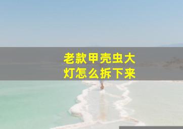 老款甲壳虫大灯怎么拆下来