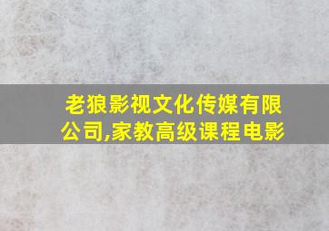 老狼影视文化传媒有限公司,家教高级课程电影