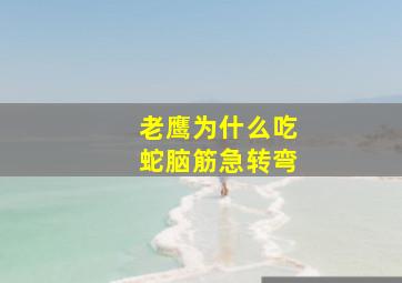 老鹰为什么吃蛇脑筋急转弯