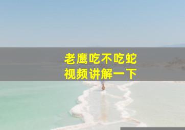 老鹰吃不吃蛇视频讲解一下