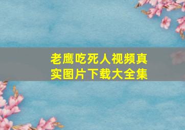 老鹰吃死人视频真实图片下载大全集