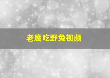 老鹰吃野兔视频