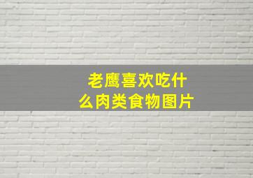 老鹰喜欢吃什么肉类食物图片