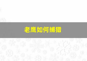 老鹰如何捕猎