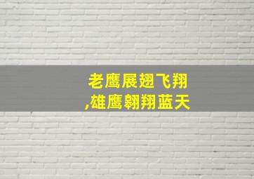 老鹰展翅飞翔,雄鹰翱翔蓝天