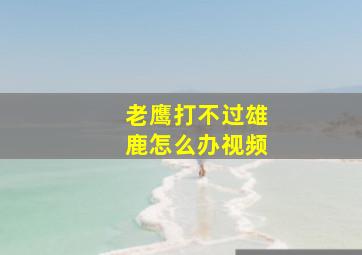 老鹰打不过雄鹿怎么办视频