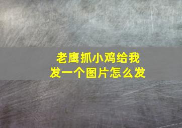 老鹰抓小鸡给我发一个图片怎么发