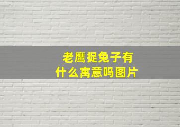 老鹰捉兔子有什么寓意吗图片