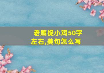 老鹰捉小鸡50字左右,美句怎么写