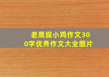 老鹰捉小鸡作文300字优秀作文大全图片