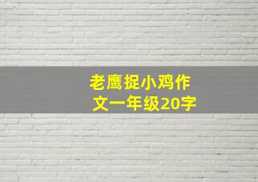 老鹰捉小鸡作文一年级20字