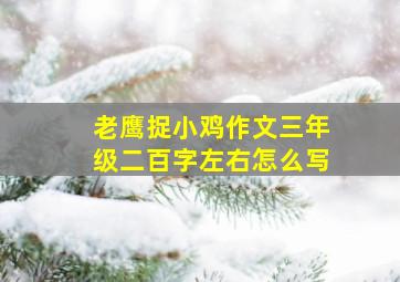 老鹰捉小鸡作文三年级二百字左右怎么写