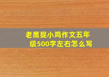 老鹰捉小鸡作文五年级500字左右怎么写