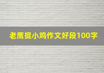 老鹰捉小鸡作文好段100字