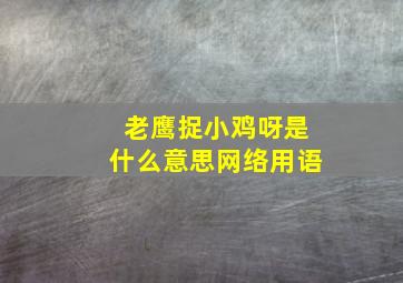 老鹰捉小鸡呀是什么意思网络用语