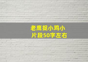 老鹰捉小鸡小片段50字左右