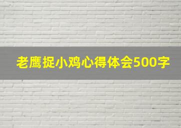 老鹰捉小鸡心得体会500字