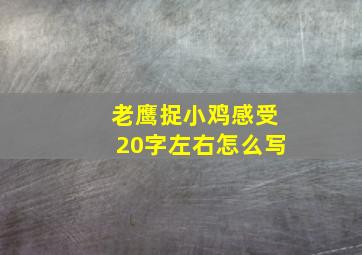 老鹰捉小鸡感受20字左右怎么写