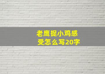 老鹰捉小鸡感受怎么写20字