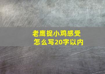 老鹰捉小鸡感受怎么写20字以内