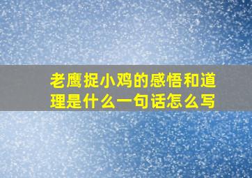 老鹰捉小鸡的感悟和道理是什么一句话怎么写