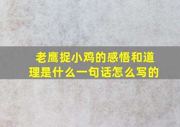 老鹰捉小鸡的感悟和道理是什么一句话怎么写的