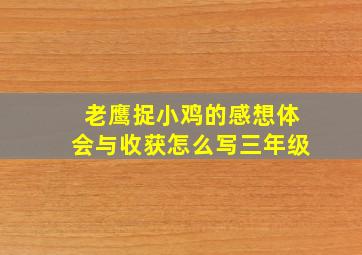 老鹰捉小鸡的感想体会与收获怎么写三年级