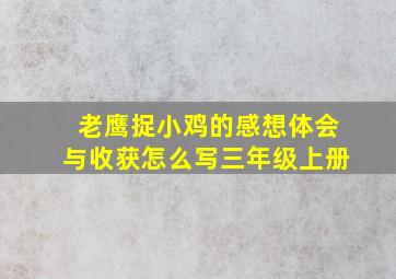 老鹰捉小鸡的感想体会与收获怎么写三年级上册