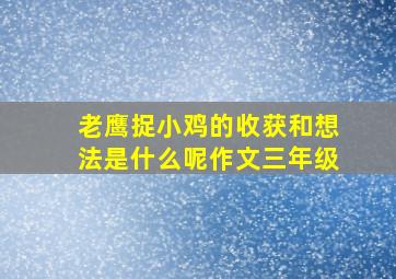 老鹰捉小鸡的收获和想法是什么呢作文三年级