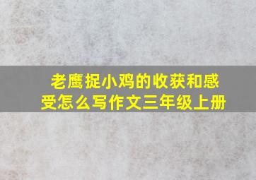 老鹰捉小鸡的收获和感受怎么写作文三年级上册