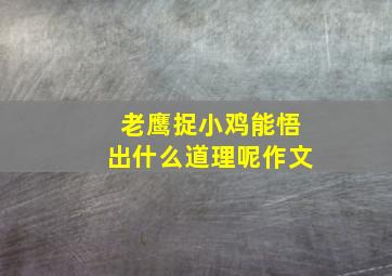 老鹰捉小鸡能悟出什么道理呢作文