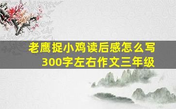 老鹰捉小鸡读后感怎么写300字左右作文三年级