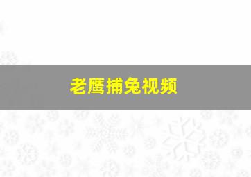 老鹰捕兔视频