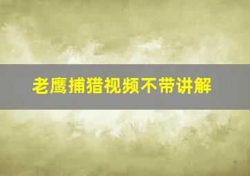 老鹰捕猎视频不带讲解