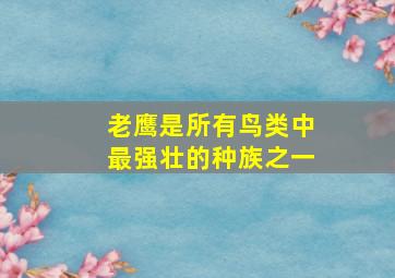 老鹰是所有鸟类中最强壮的种族之一