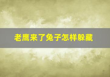 老鹰来了兔子怎样躲藏