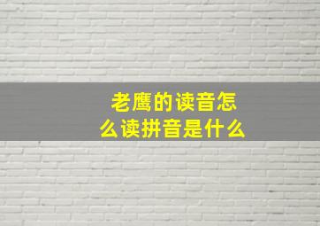 老鹰的读音怎么读拼音是什么