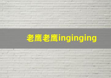 老鹰老鹰inginging