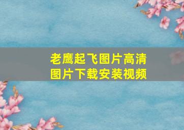 老鹰起飞图片高清图片下载安装视频