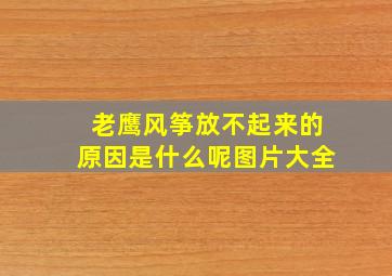 老鹰风筝放不起来的原因是什么呢图片大全