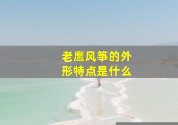 老鹰风筝的外形特点是什么